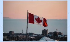 瓦力棋牌官网-冰岛队欧预赛取得关键胜利，前途一片光明