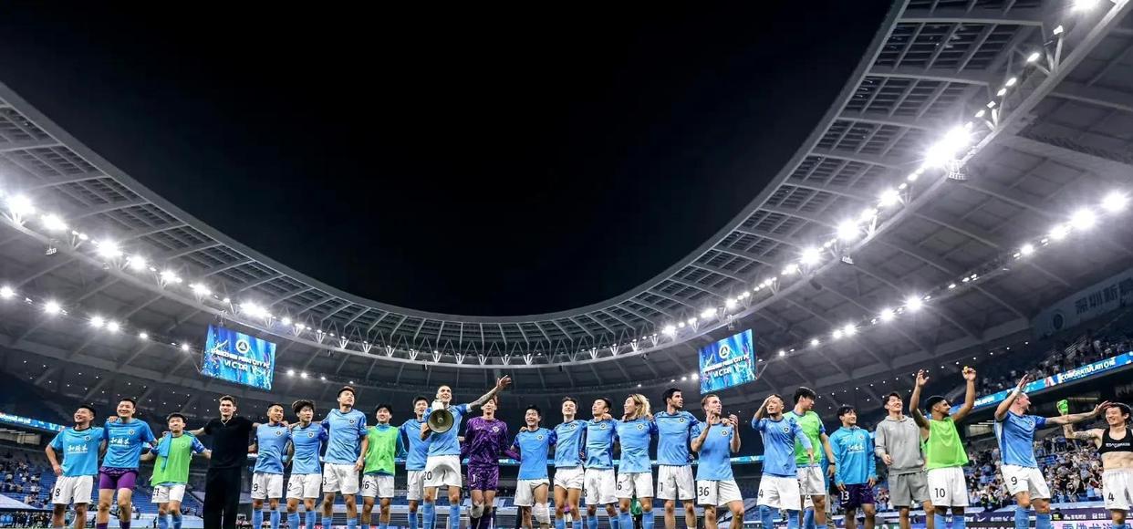 包含捷克队实现逆袭，赢得胜利，球迷欢呼不已的词条