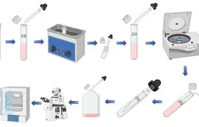 辛辛那提清洗洛瑞,开启复苏模式 辛辛那提清洗洛瑞,开启复苏模式
