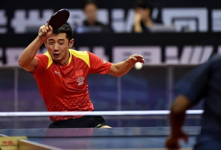 瑞典队逆转中国队，张继科高光表现的简单介绍